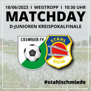 Pokalfinale der D-Junioren