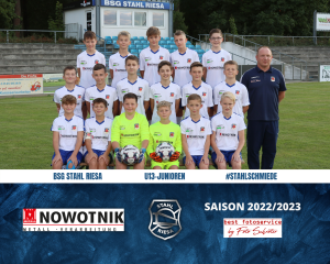 Kreismeistertitel und Staffelsieg für D-Junioren