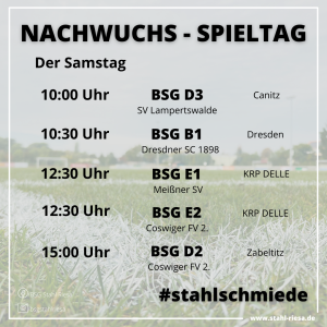 Volles Programm im Nachwuchs