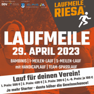 Erfolge bei der 2. Riesaer Laufmeile